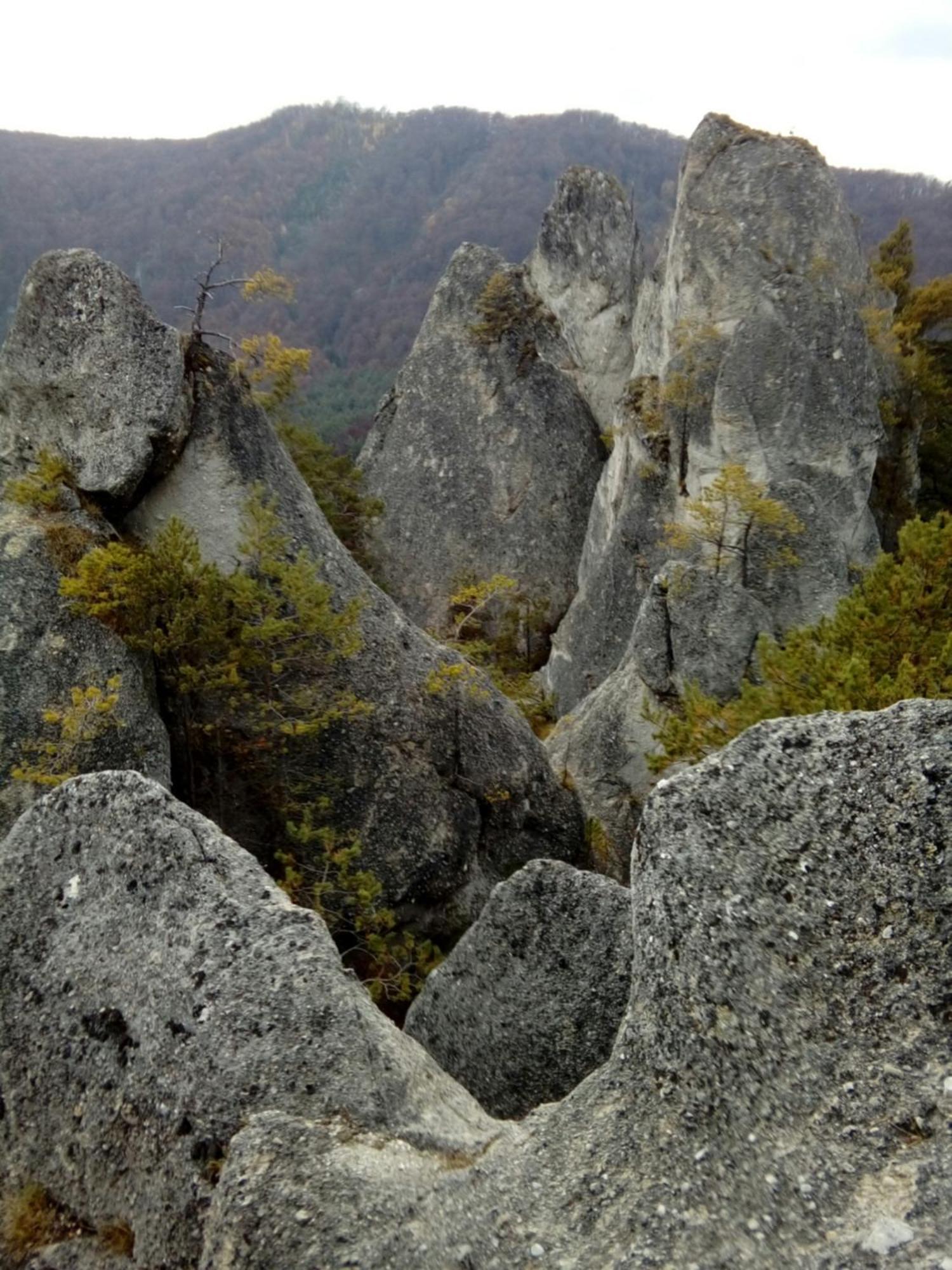 شقة Castle Kastiel Kotešová المظهر الخارجي الصورة